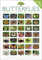 Nature is hugely beneficial for children, so it's good to encourage them to get outdoors and search out these incredibly beautiful creatures.