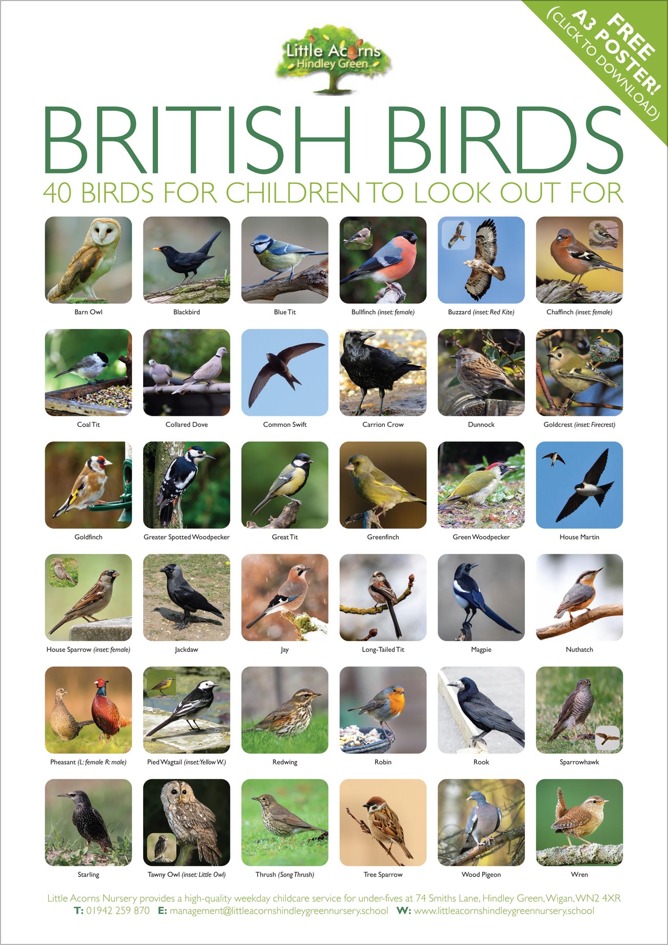 Preview of the free poster download - click to view/download (see instructions panel).