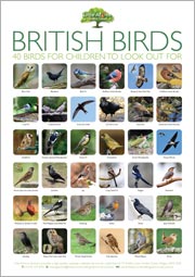 Today's nature-based activity comes with a free poster download for children/families to print out and use as a checklist.