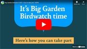 How to take part in the Big Garden Birdwatch