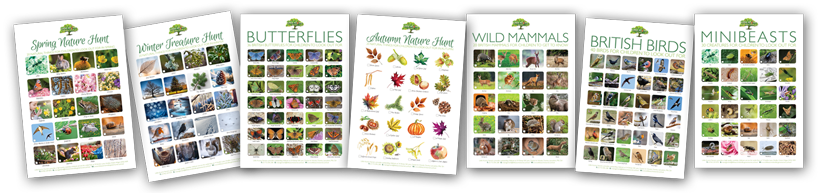 Download more of our free nature activity posters!